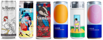 Load image into Gallery viewer, Funky Taster Case - 6 Cans

